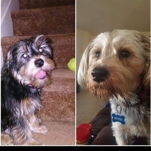 Meet your Posher, Finderz